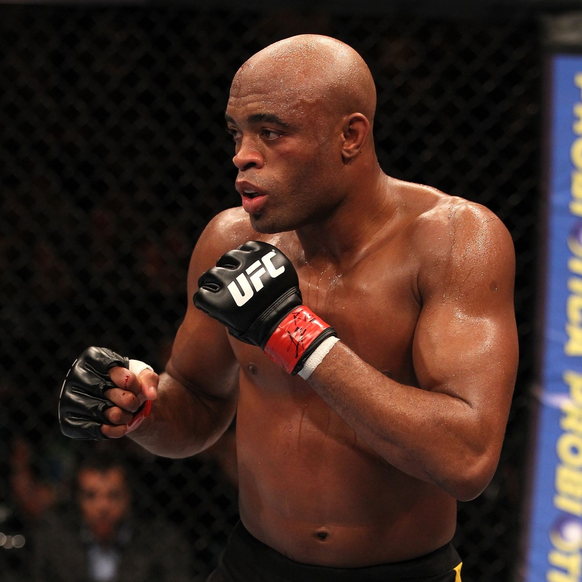 anderson silva