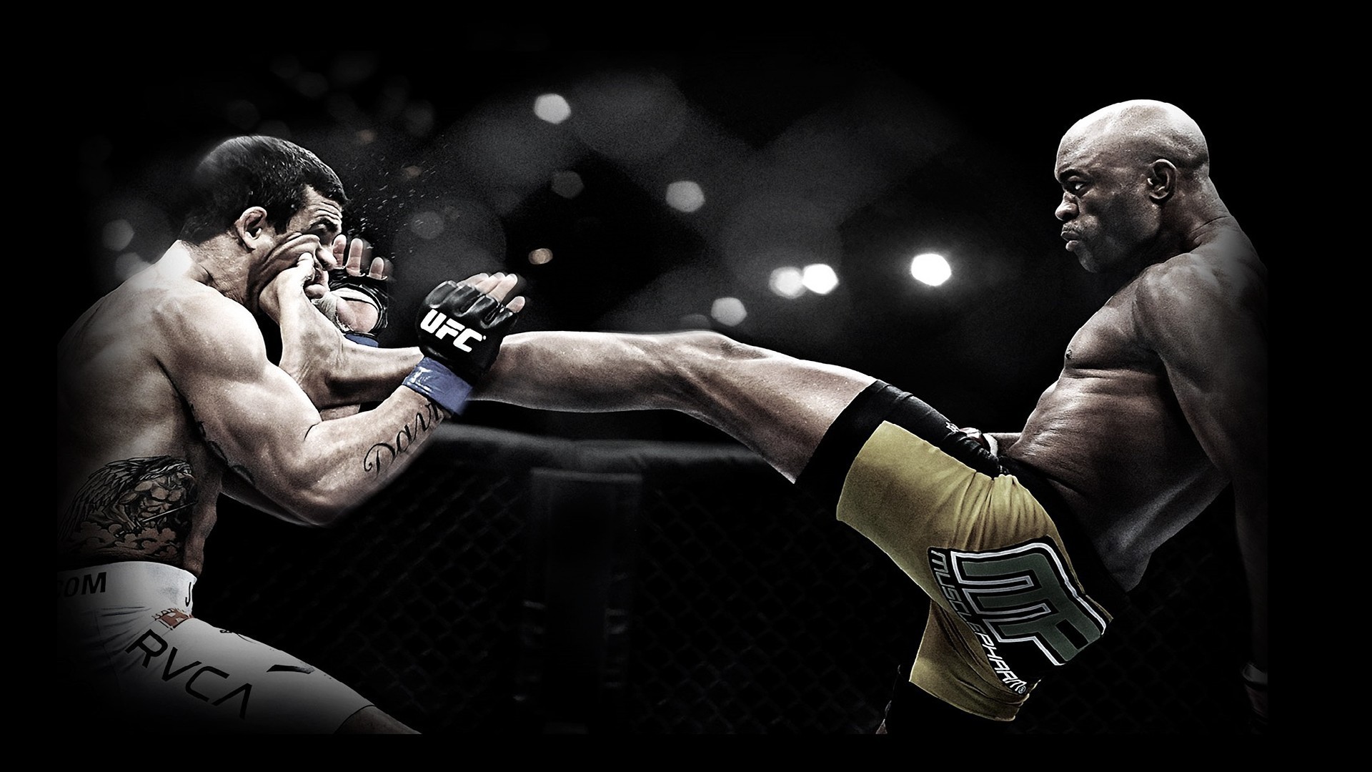 Les disciplines du Martial Arts (MMA) et du Free-fight