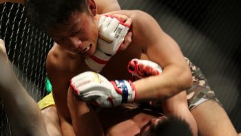 Quelles sont les catégories de poids en MMA ?