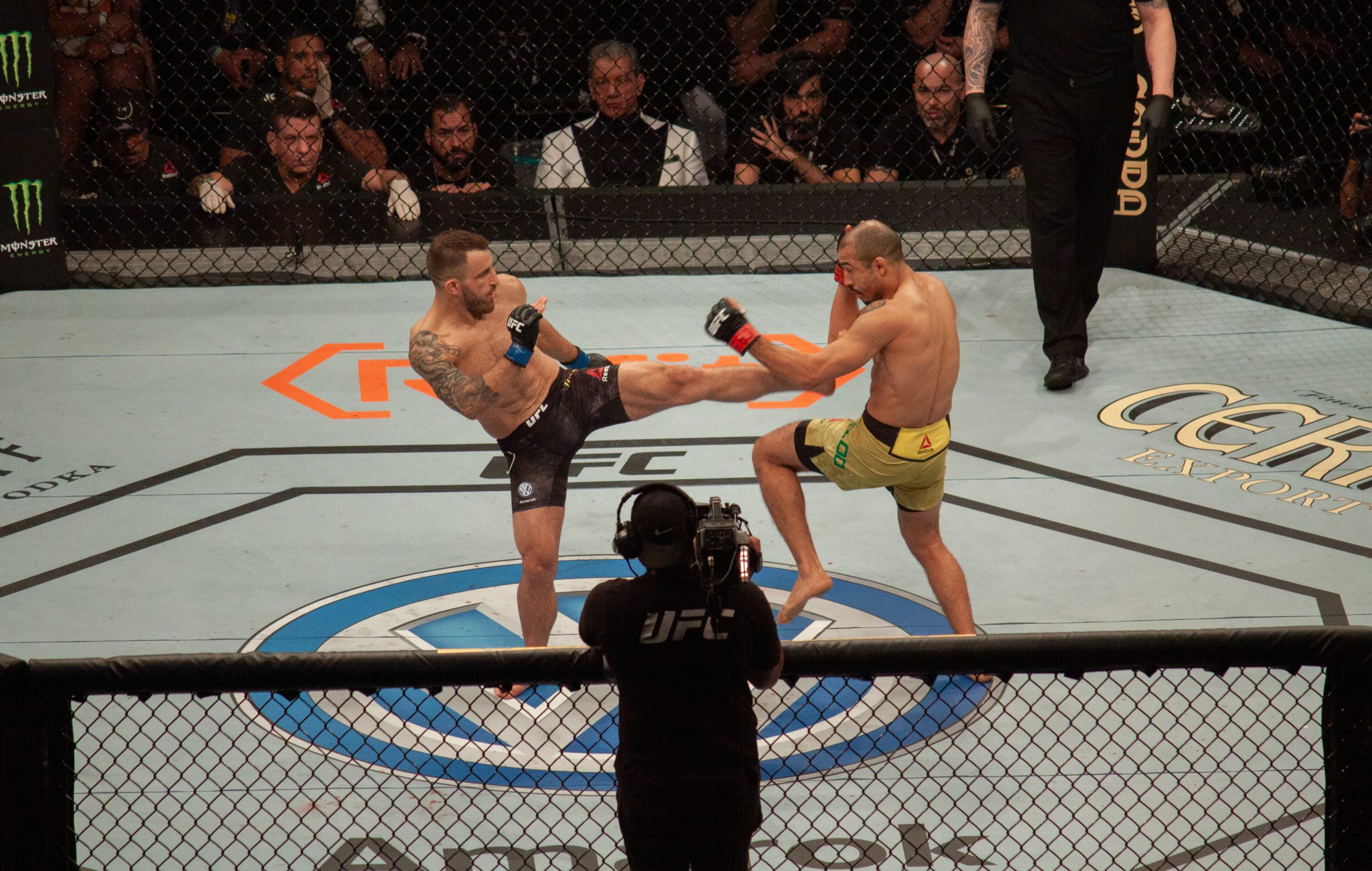 ALEXANDER VOLKANOVSKI 